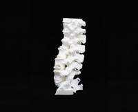 Spinal BioModel Image 3